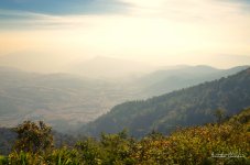 landscape1-1.jpg