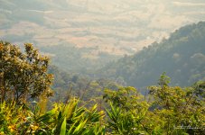 landscape2-1.jpg