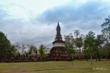 landscape3-1.jpg