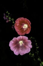 _DSC0353-Edit-Edit-Edit.jpg