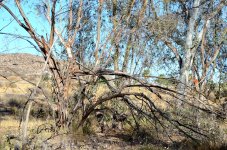 23rd June 2015 001.JPG