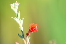 24th June 2015 003.JPG