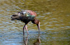 24th June 2015 025.JPG