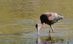 24th June 2015 034.JPG