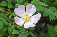DSCN0877.jpg