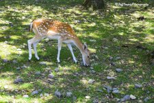 _DSC7827.jpg