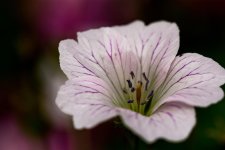 DSC_3422.jpg