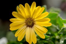 DSC_3434.jpg