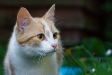 DSC_2513.jpg