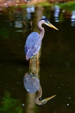 MPP_9613A.jpg