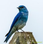 DSC_1048.jpg