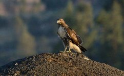 25th June 2015 003.JPG