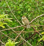 DSCN0935.jpg