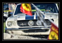 DSC_1782.jpg