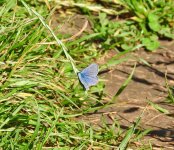 DSCN1037.jpg