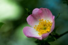 DSC_3520.jpg