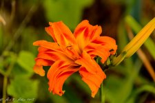 20150627-_D711577.jpg