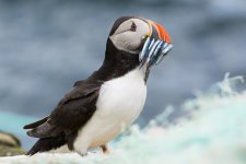 DSC_3046.jpg