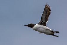 DSC_3028.jpg