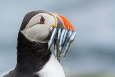 DSC_3056.jpg