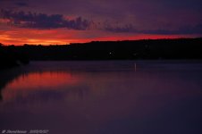_DSC1384.jpg