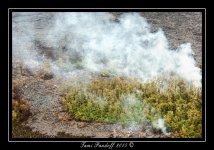 DSC_8784.jpg