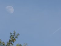 moonjet-9795.jpg