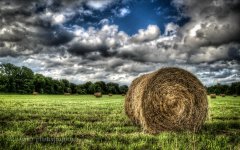 DAH_1757_tonemapped-2-2.jpg