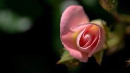 DSC_3554.jpg