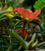 GSC_2566.jpg