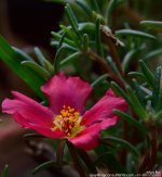 GSC_2569.jpg