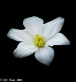 JBPhotoFlrHJB2015.jpg