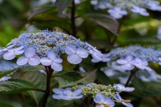 Aunt Mary's  House area.--7.jpg