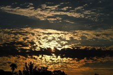 27th June 2015 002.JPG