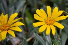 27th June 2015 014.JPG