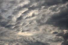 27th June 2015 028.JPG