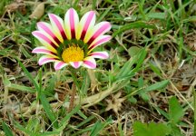 28th June 2015 012.JPG