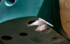 28th June 2015 071.JPG