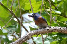 28th June 2015 073.JPG