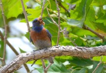 28th June 2015 075.JPG