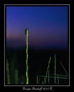 DSC_2021_Web.jpg