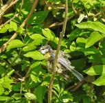 DSCN1095.jpg