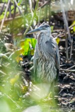 D71_5300-Edit-2.jpg