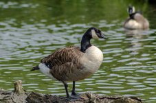 DSC_3616.jpg