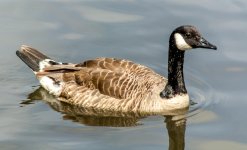 DSC_3623.jpg