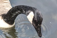 DSC_3618.jpg