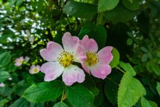DSC_0450.jpg
