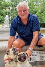 British Gent With Rescue Pugs.jpg