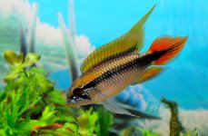 29th June 2015 001.JPG