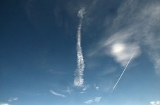 29th June 2015 007.JPG